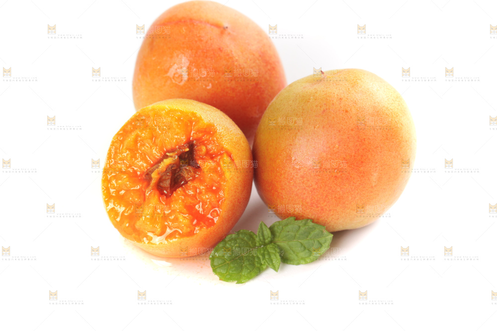 白底上的新疆小红杏