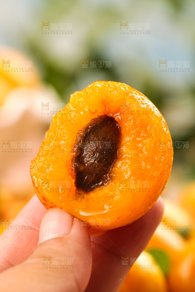 木底上的小红杏