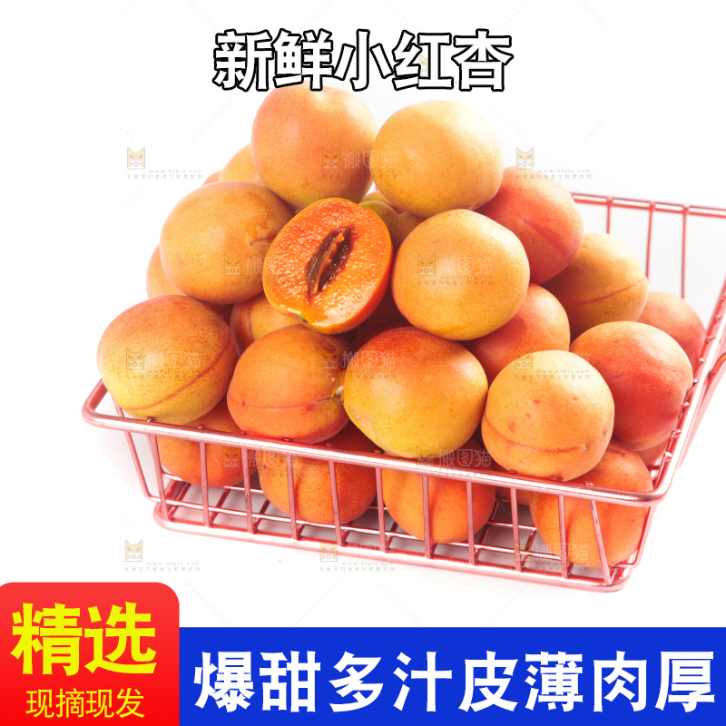 白底上的新疆小红杏