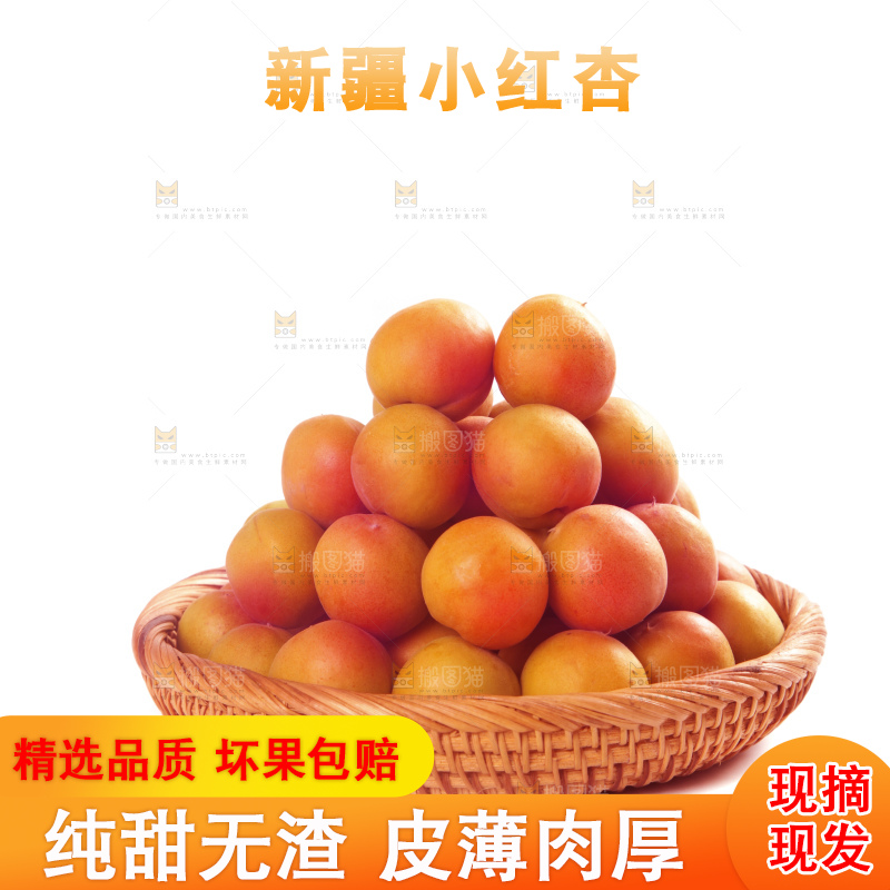 白底上的新疆小红杏