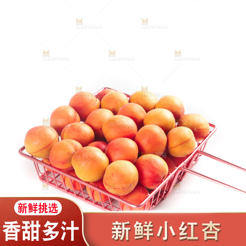白底上的新疆小红杏