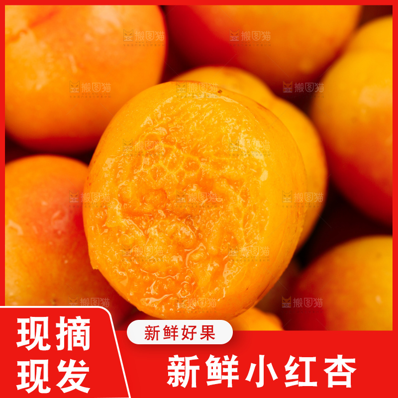 木底上的小红杏