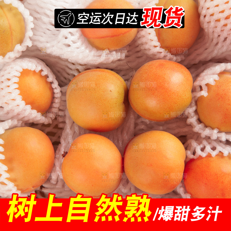 木底上的小红杏