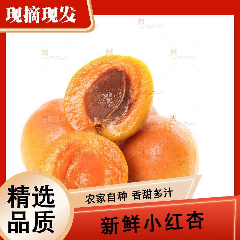 白底上的新疆小红杏