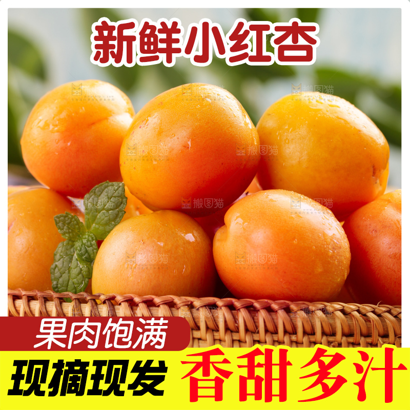 木底上的小红杏