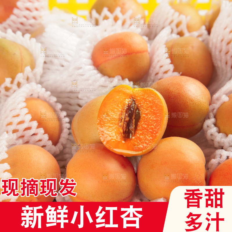 木底上的小红杏