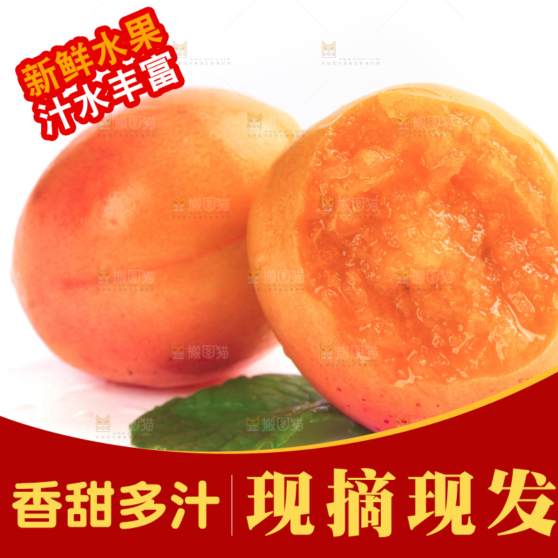 白底上的新疆小红杏