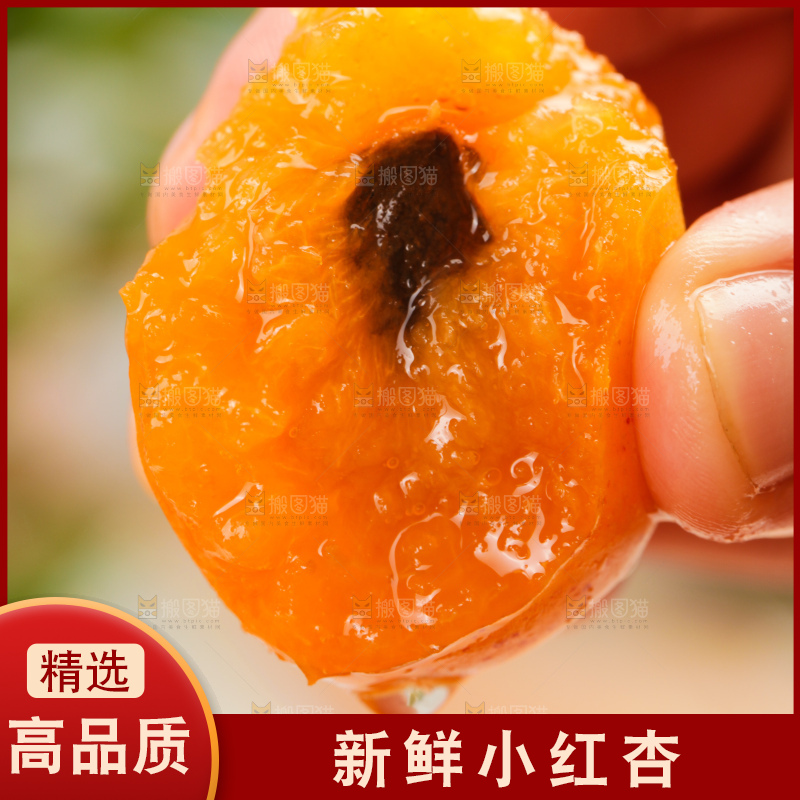 木底上的小红杏