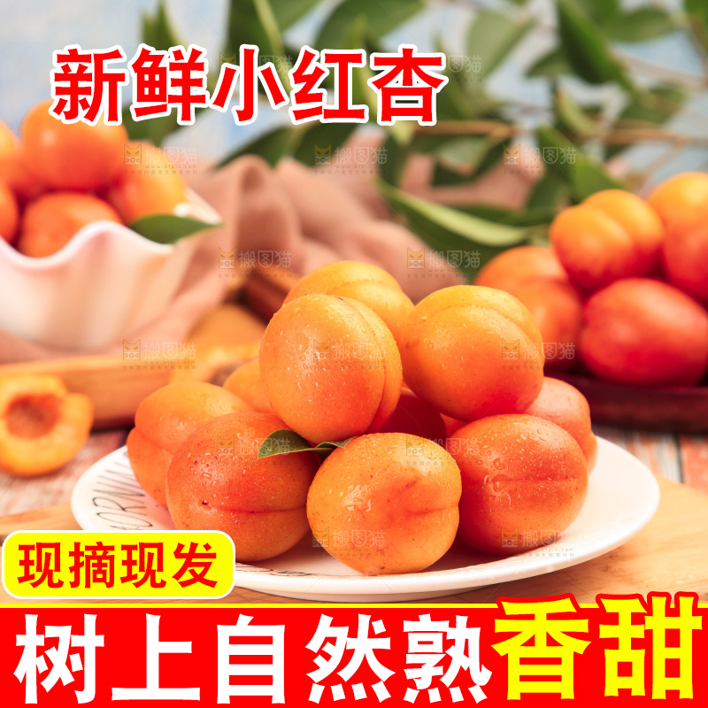 木底上的小红杏