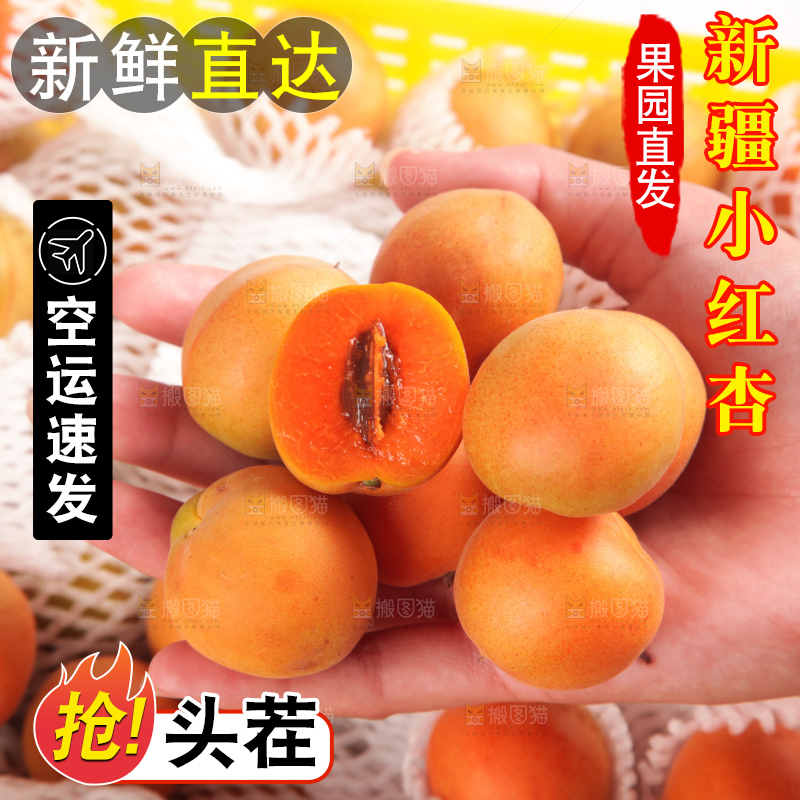木底上的小红杏