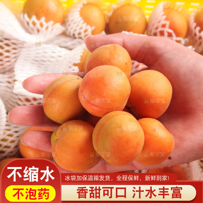 木底上的小红杏