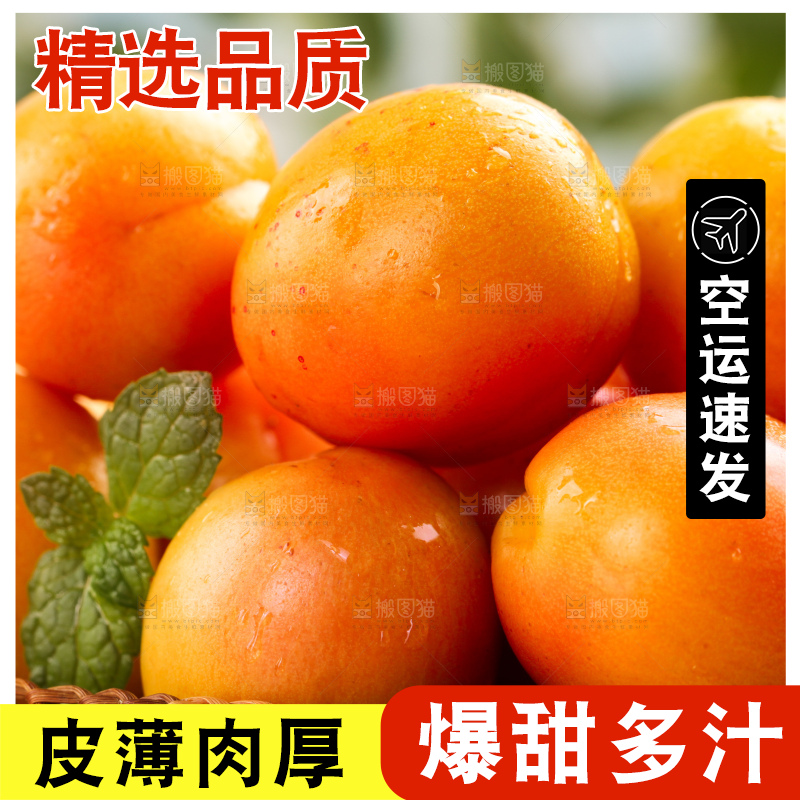 木底上的小红杏