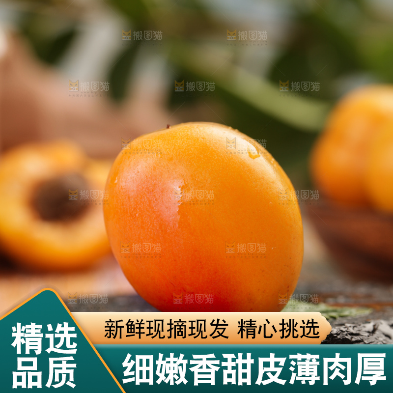 木底上的小红杏