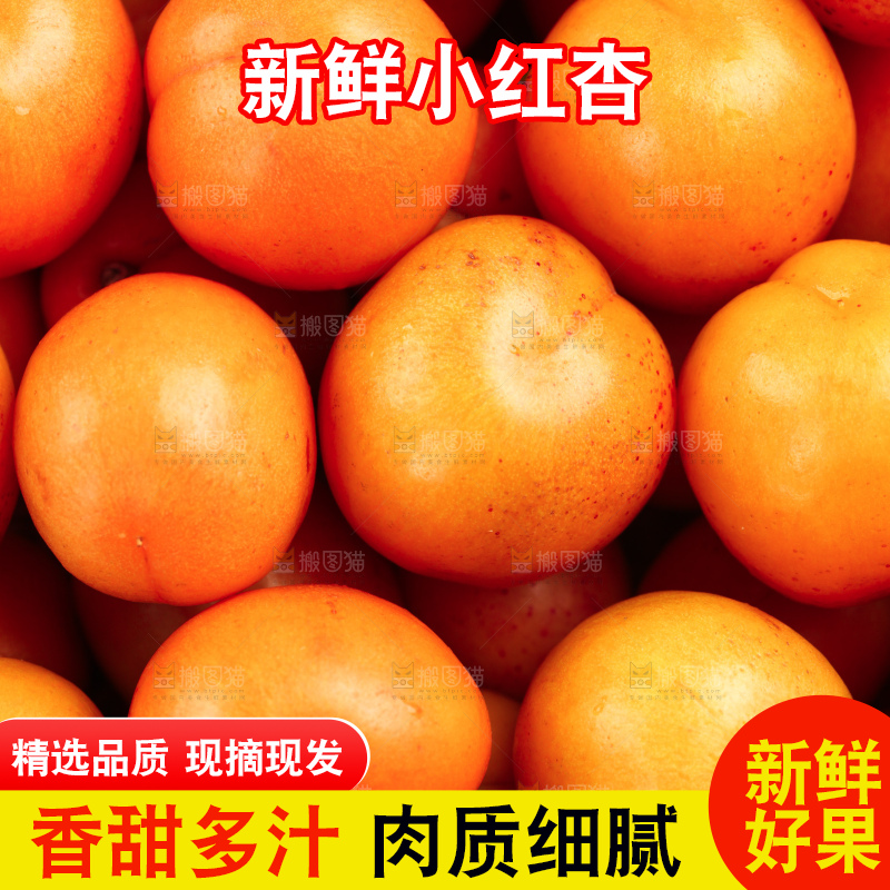 木底上的小红杏