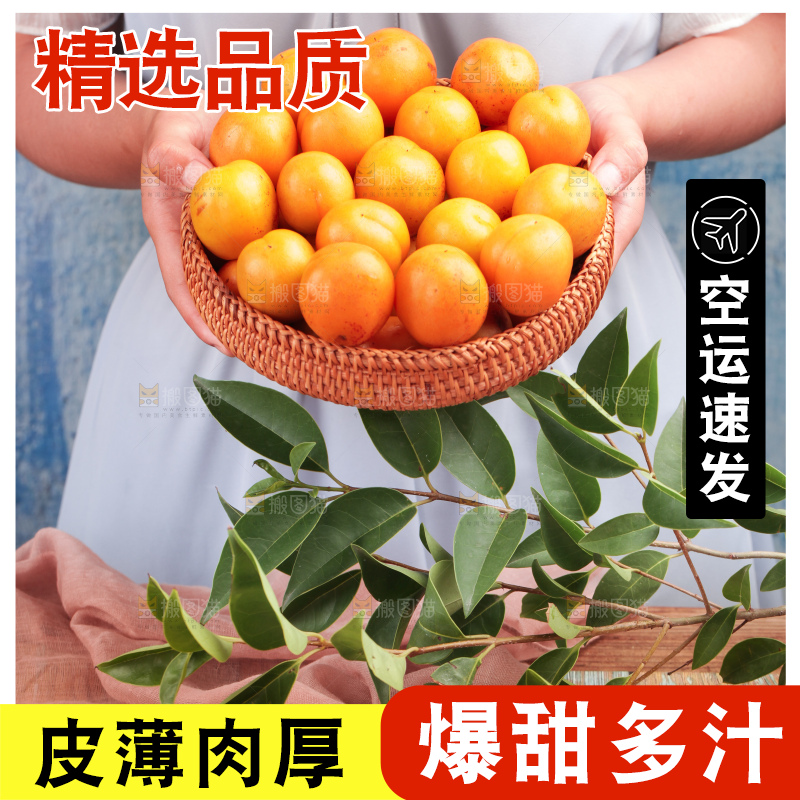 木底上的小红杏