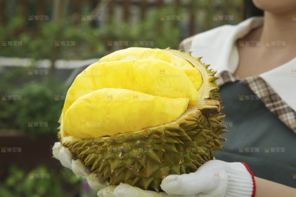 榴莲