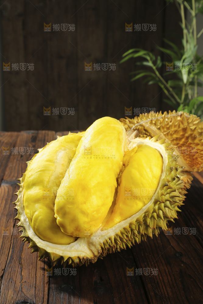 深底上的金枕榴莲