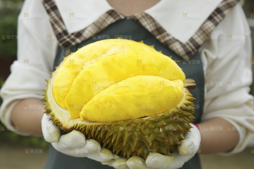手里拿着金枕榴莲