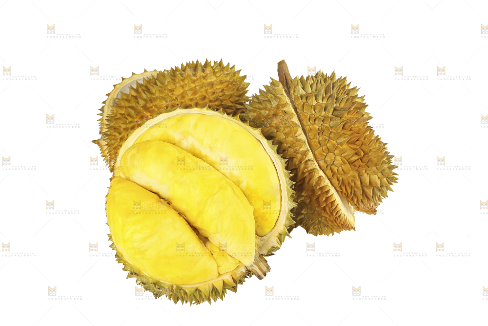 白底上的金枕榴莲