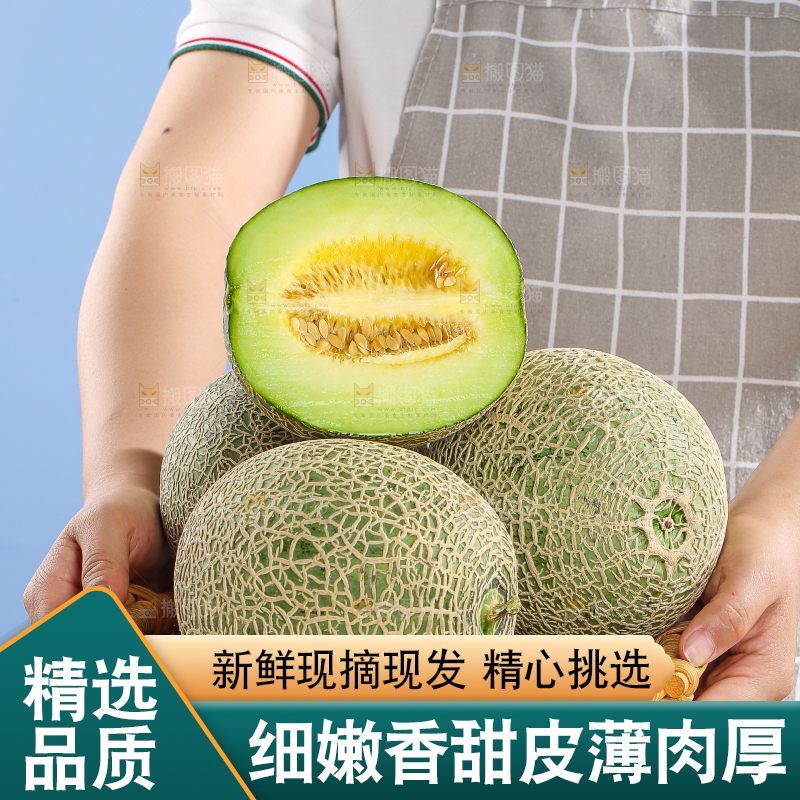 浅底上的玫珑蜜瓜