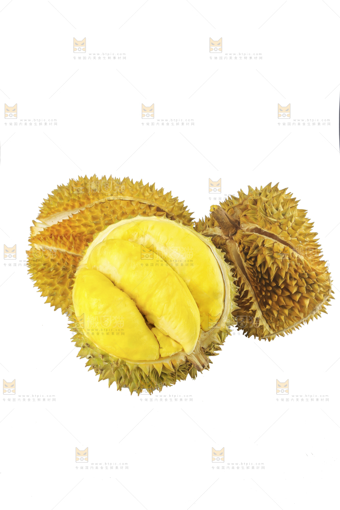白底上的金枕榴莲