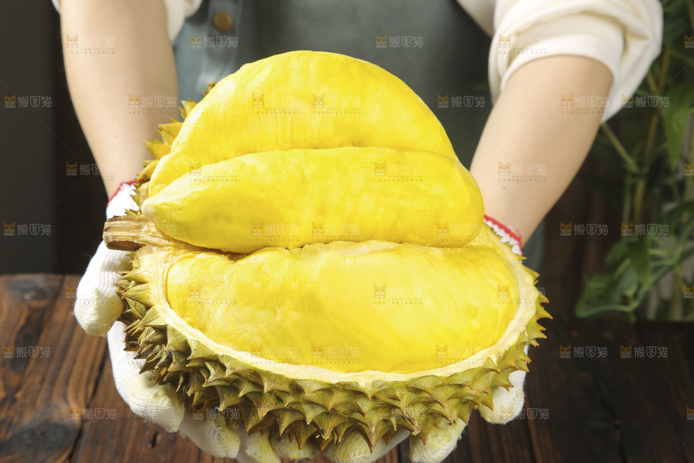 深底上的金枕榴莲