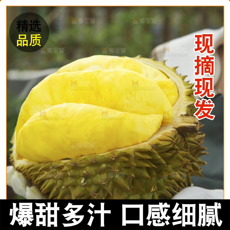手里拿着金枕榴莲