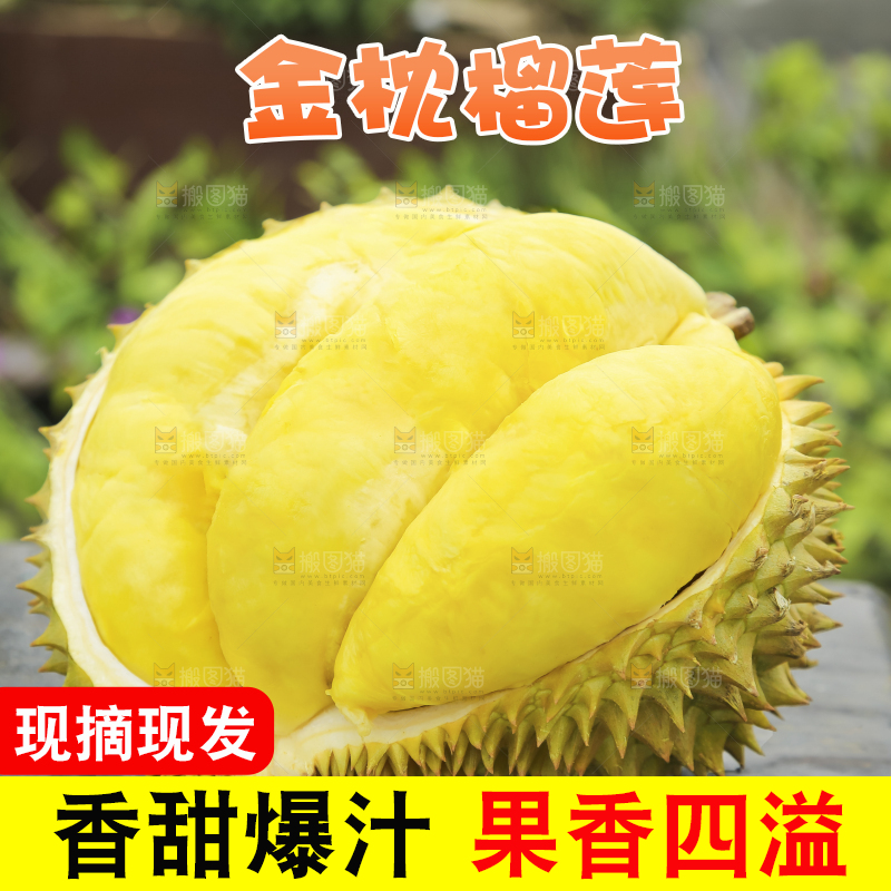 手里拿着金枕榴莲