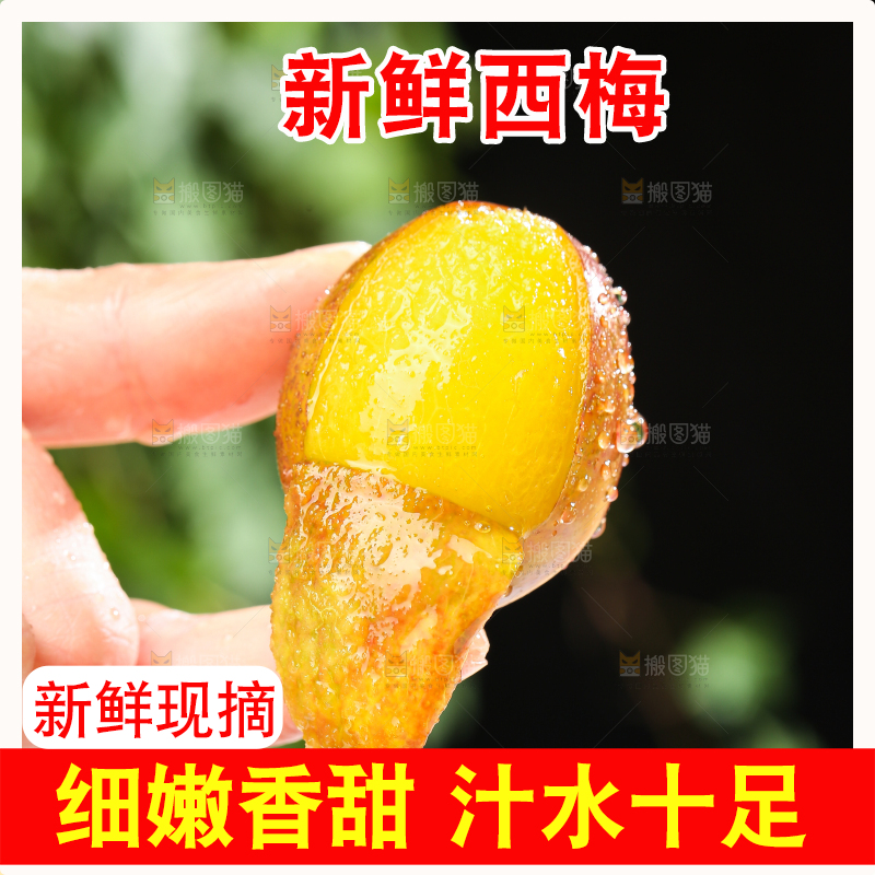 手里拿着新鲜西梅
