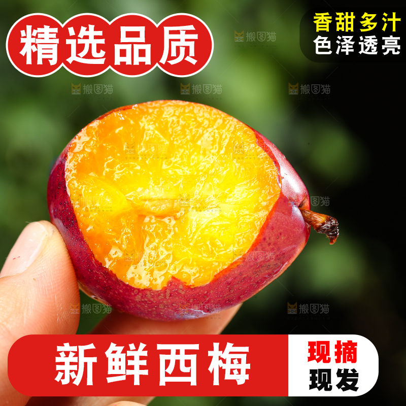 手里拿着新鲜西梅