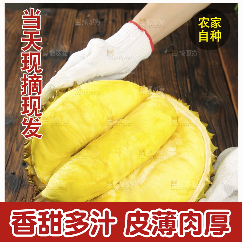 深底上的金枕榴莲
