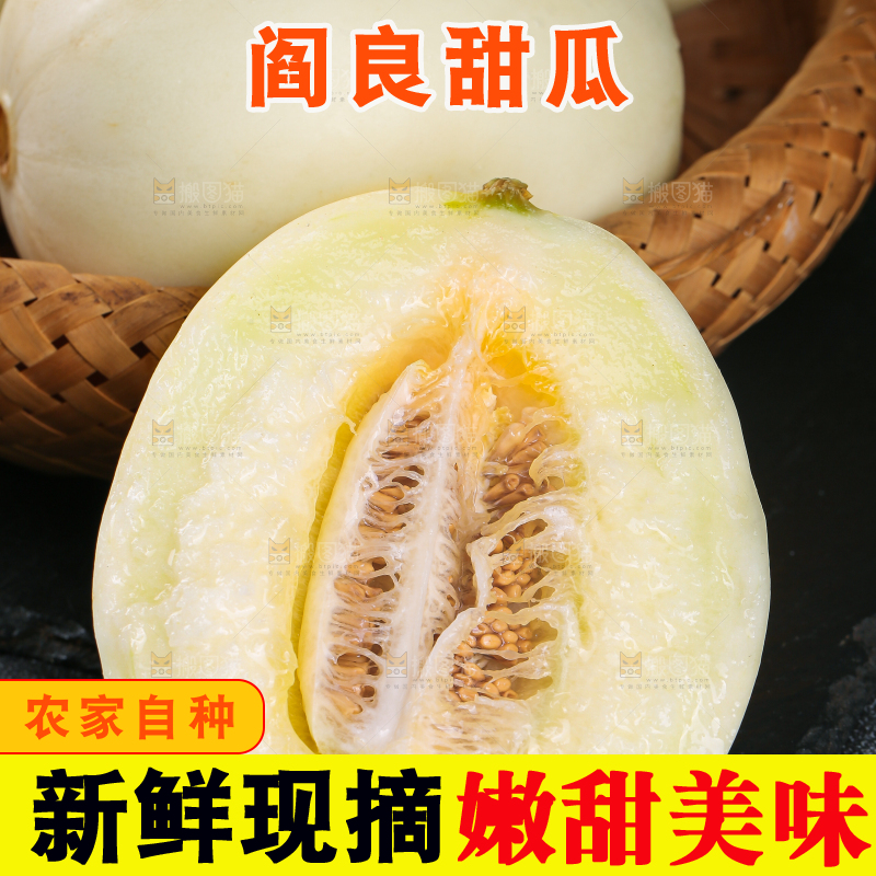 深底上的阎良甜瓜
