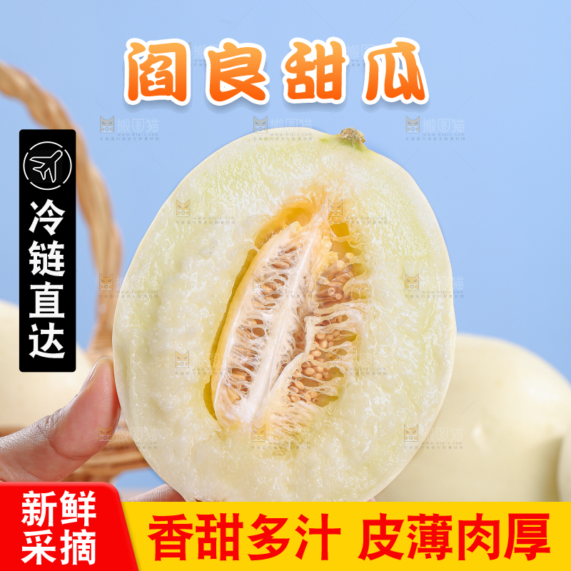 木底上的阎良甜瓜