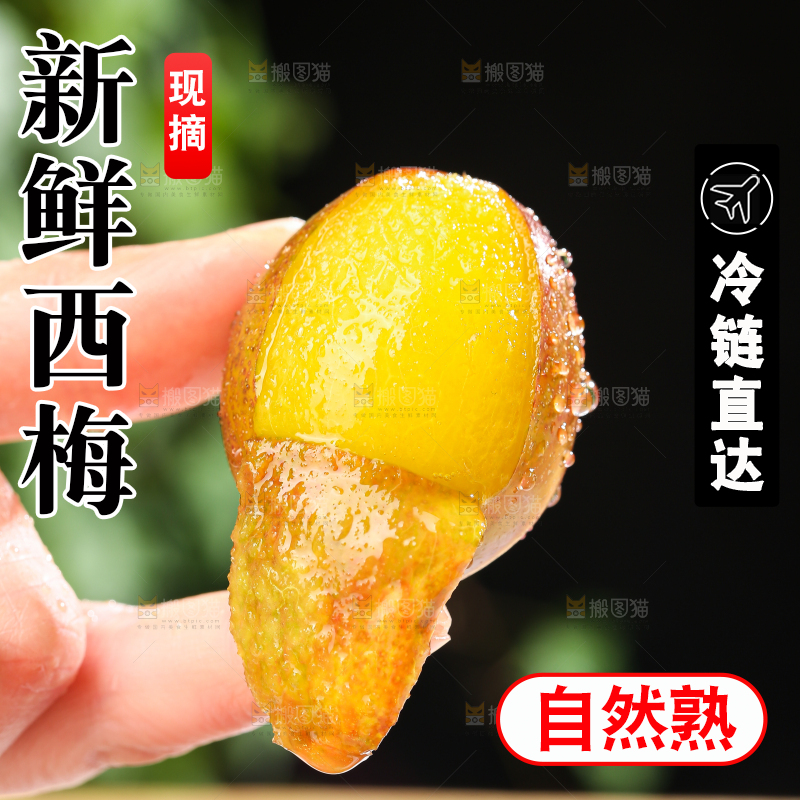 手里拿着新鲜西梅