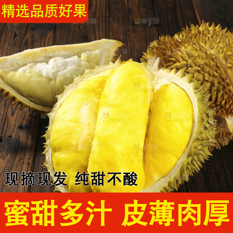 深底上的金枕榴莲