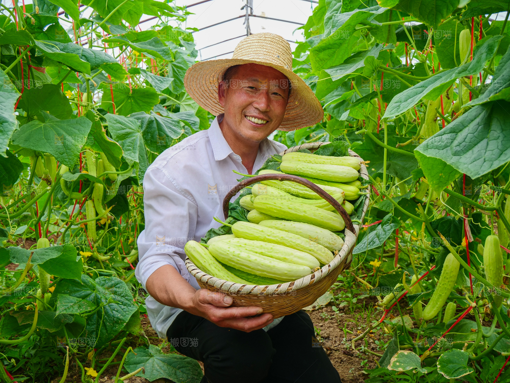 手里拿着白玉黄瓜