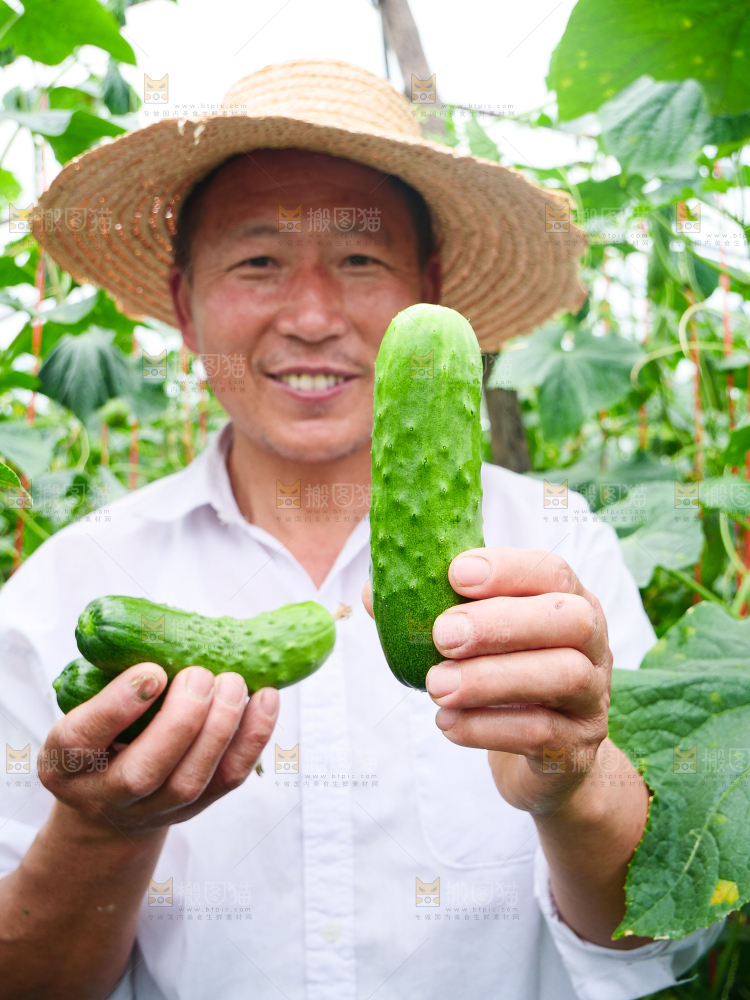 手里拿着刺黄瓜
