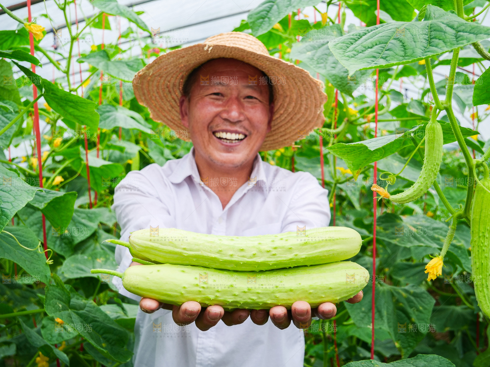 手里拿着白玉黄瓜