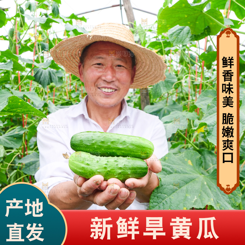 手里拿着刺黄瓜