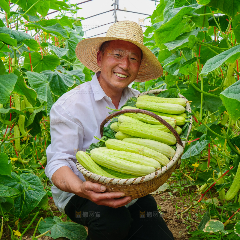 手里拿着白玉黄瓜