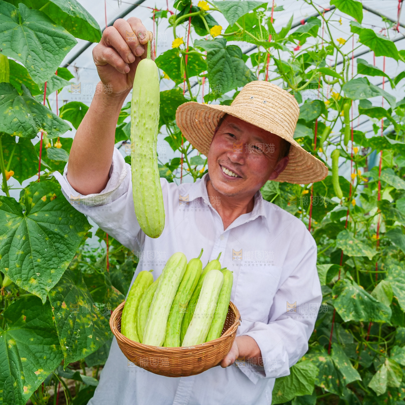 手里拿着白玉黄瓜