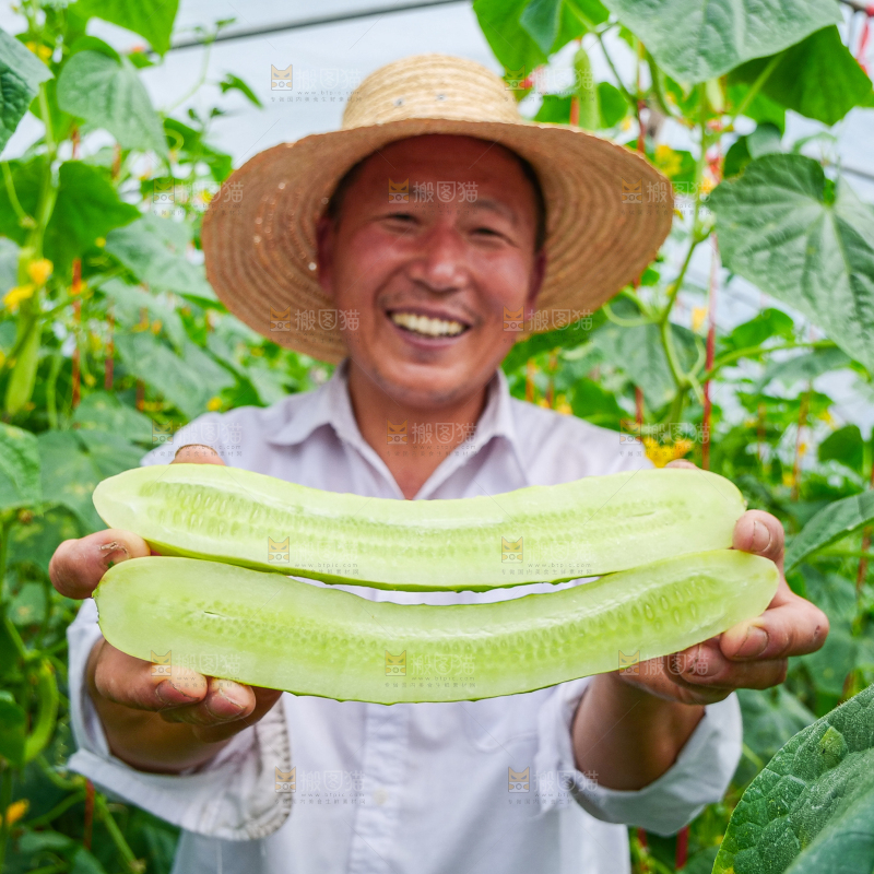 手里拿着白玉黄瓜