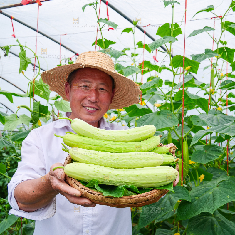 手里拿着白玉黄瓜