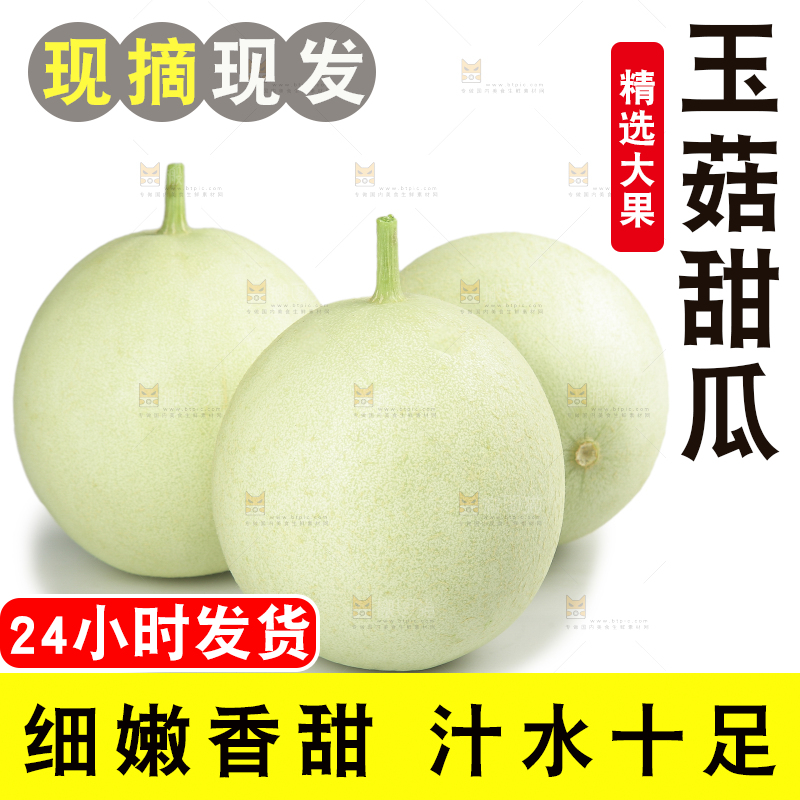 白底上的玉菇甜瓜