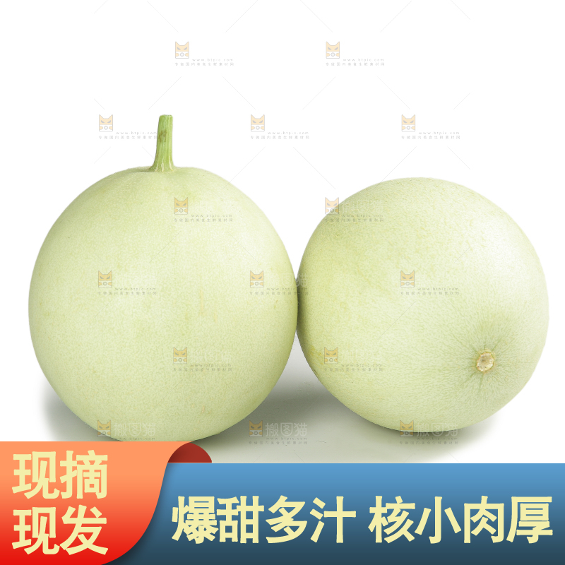 白底上的玉菇甜瓜
