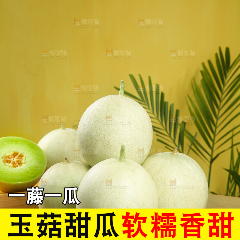 木底上的玉菇甜瓜