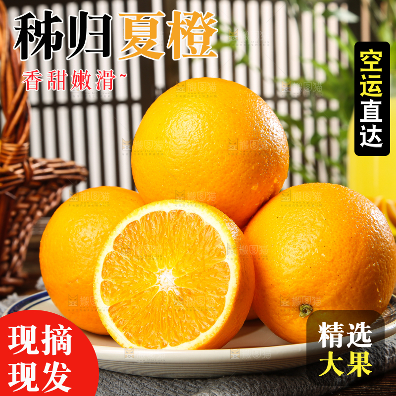 木底上的秭归夏橙