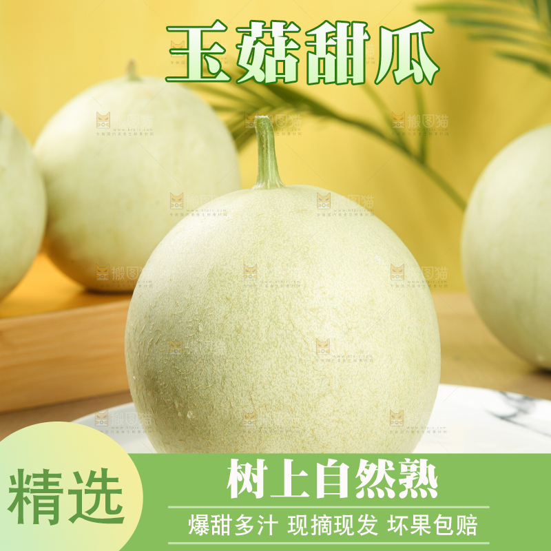 木底上的玉菇甜瓜