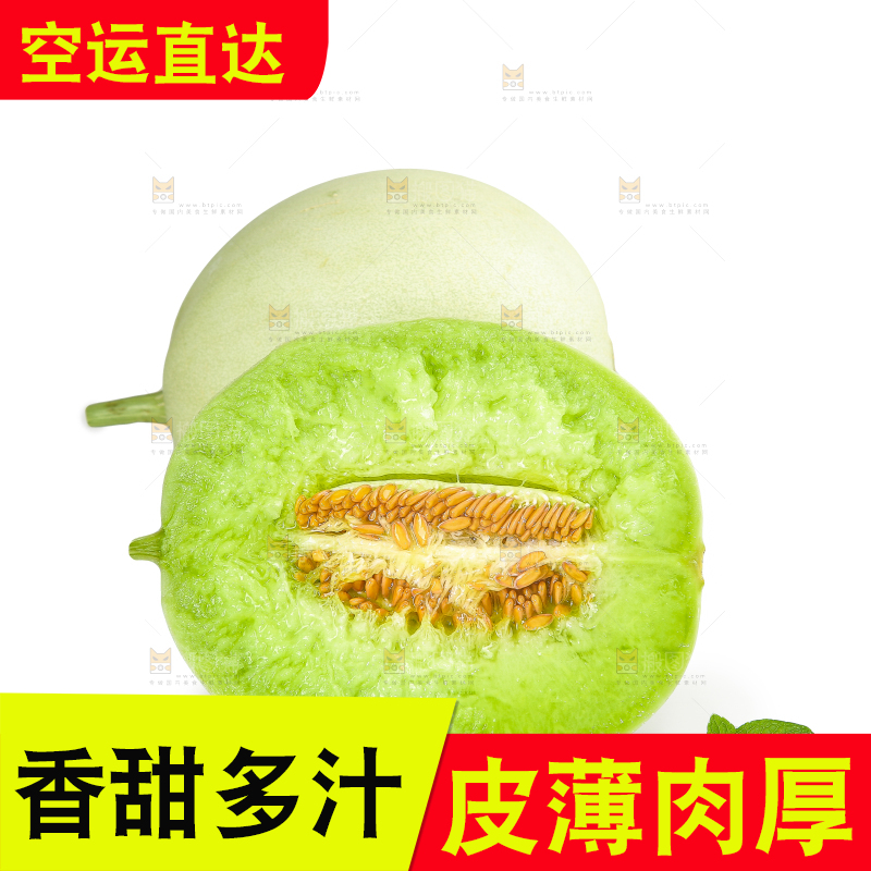 白底上的玉菇甜瓜
