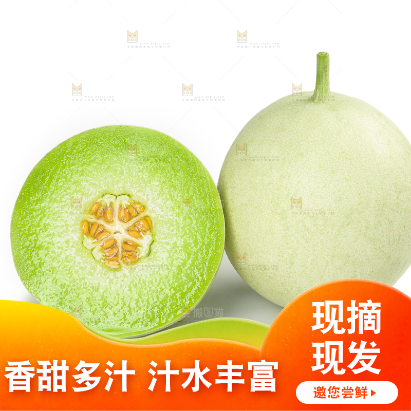 白底上的玉菇甜瓜